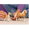 Image de Horse Club Poulain Haflinger Marron