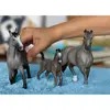 Image de Horse Club Étalon Selle Français Gris