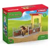 Image de Box Avec Poney Icelandais - Extension Ferme Educative Multicolore