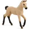 Image de Horse Club Poulain Hanovre Aubère Beige
