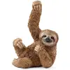 Image de Animal Miniature Paresseux Marron