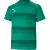 Image de Maillot enfant Puma TeamVision Vert 11/12 ans 704928-05