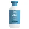 Image de INVIGO BALANCE Shampoing Purifiant Pur 300 ml