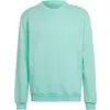 Image de Sweatshirt adidas Entrada 22 Vert M HC5047