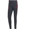 Image de Pantalon de survêtement Bayern Munich Pro 2022/23 Gris XS HB0631