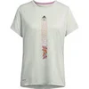 Image de Maillot femme adidas 45 Terrex Agravic Gris L HF9288