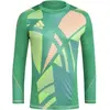 Image de Maillot de gardien manches longues adidas Tiro 24 Pro Vert M IS5350