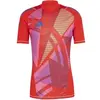 Image de Maillot de gardien adidas Tiro 24 Pro Rouge S IN0425