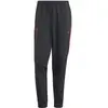Image de Pantalon de survêtement adidas Predator 30th Noir M IM8697