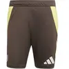 Image de Short d'entraînement Juventus Turin Tiro 2024/25 Marron S JJ1555