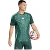 Image de Maillot Extérieur Algérie 2025 Vert 3XL IT2733