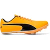 Image de Puma EvoSPEED Sprint 14.5 Spikes-Orange,Noir, Taille 43