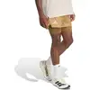 Image de adidas Terrex XPL 2in1 Short de running Hommes - le caramel, Taille S