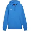 Image de Sweatshirt à capuche Puma Teamgoal Casuals Bleu L 658618-02