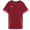 Image de Maillot femme Puma Teamgoal Matchday Rouge L 705749-09