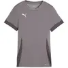 Image de Maillot femme Puma TeamGoal Matchday Gris L 705749-13