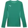 Image de Maillot manches longues Puma TeamGoal Vert M 705750-05