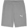 Image de Short Puma TeamGoal Gris L 658608-33