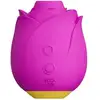 Image de Stimulateur clitoridien ROMP Rose
