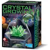 Image de Cristaux De L’espace   Fais Pousser Et Expose Tes Gemmes Cosmiques Green