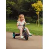 Image de Tricycle Évolutif 4 En 1 Bleu