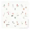 Image de Tapis D'éveil Alphabet Double Face En Eva Multicolore