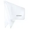 Image de SENSAI sponge chief