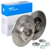 Image de DELPHI BG9028RS Disque de frein plein, huilé, avec bague ABS