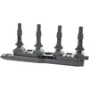 Image de DELPHI GN10198-12B1 Bobine d'allumage