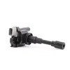 Image de DELPHI GN10318-12B1 Bobine d'allumage