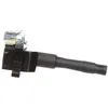Image de DELPHI GN10335-12B1 Bobine d'allumage