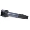 Image de DELPHI GN10530-12B1 Bobine d'allumage