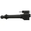 Image de DELPHI GN10796-12B1 Bobine d'allumage