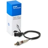 Image de DELPHI ES21219-12B1 Sonde lambda