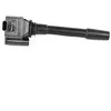 Image de DELPHI GN11119-12B1 Bobine d'allumage