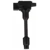 Image de DELPHI GN10431-12B1 Bobine d'allumage