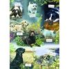 Image de Man's Best Friend 1000 Pièces Otter House Puzzle