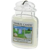 Image de YANKEE CANDLE 195005 Désodorisant Emballage en blister