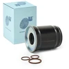 Image de BLUE PRINT ADBP230045 Filtre à Carburant Filtre de conduite, avec joints