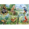Image de Pièces XXL - Etude Naturelle 250 Pièces HOP - House of Puzzles