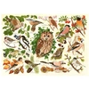 Image de Pièces XXL - Oiseaux Des Bois 500 Pièces HOP - House of Puzzles