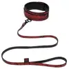 Image de Collier et laisse Sweet Anticipation