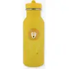 Image de Gourde 500 ml mr lion