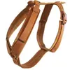 Image de Harnais pour chien actif Kentucky Velvet Orange S 42640-45-S