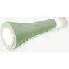 Image de Flash light vert sauge