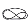 Image de GATES AVX10x1450HD Courroie Trapézoïdale FleetRunner  Longueur: 1450mm, Largeur: 10mm