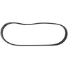 Image de RIDEX 305P0199 Courroie Poly-V Elastic
