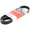 Image de GATES 6PK965 Courroie Poly-V