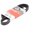 Image de GATES 6PK1560 Courroie Poly-V RoadMax  Value Line