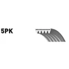 Image de GATES 5PK970 Courroie Poly-V
